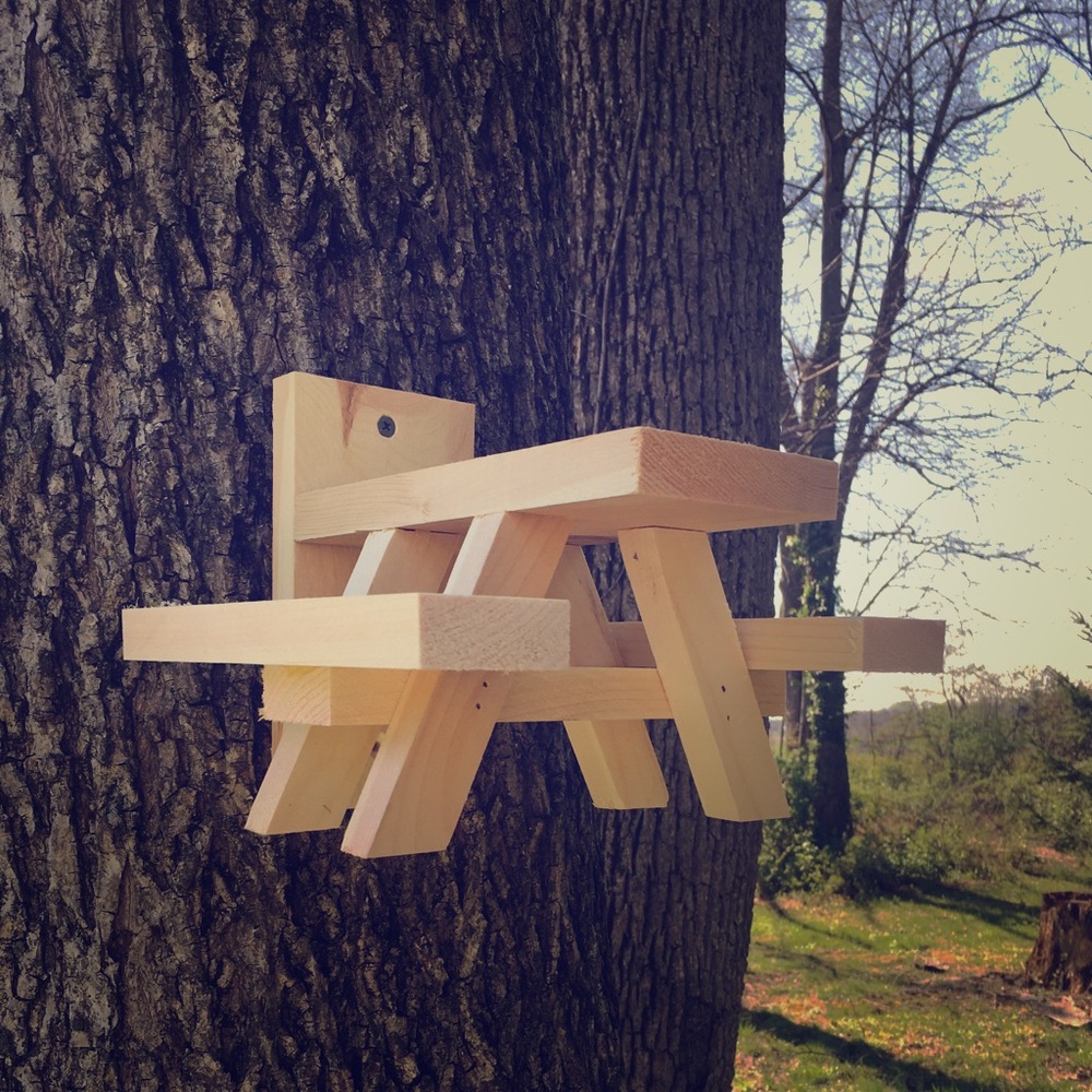 Squirrel Picnic Feeder
